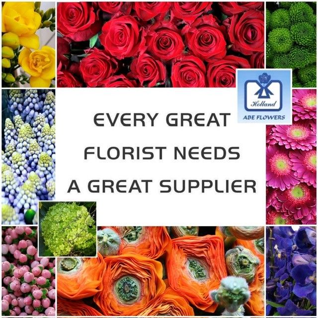 Floramondo Direkt